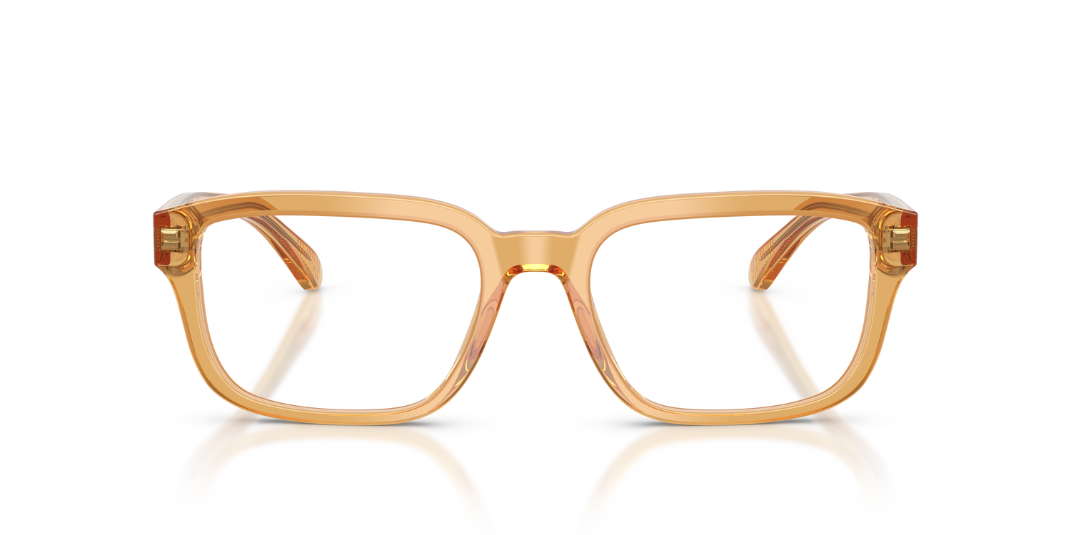 EMPORIO ARMANI EA3255 6246 55