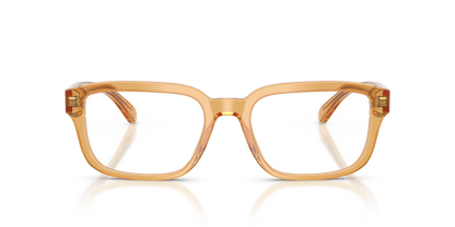 EMPORIO ARMANI EA3255 6246 55