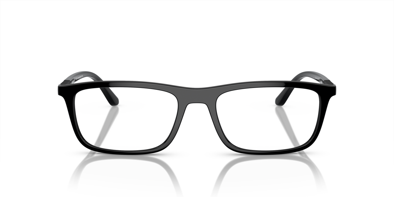 EMPORIO ARMANI EA4160 50011W 55