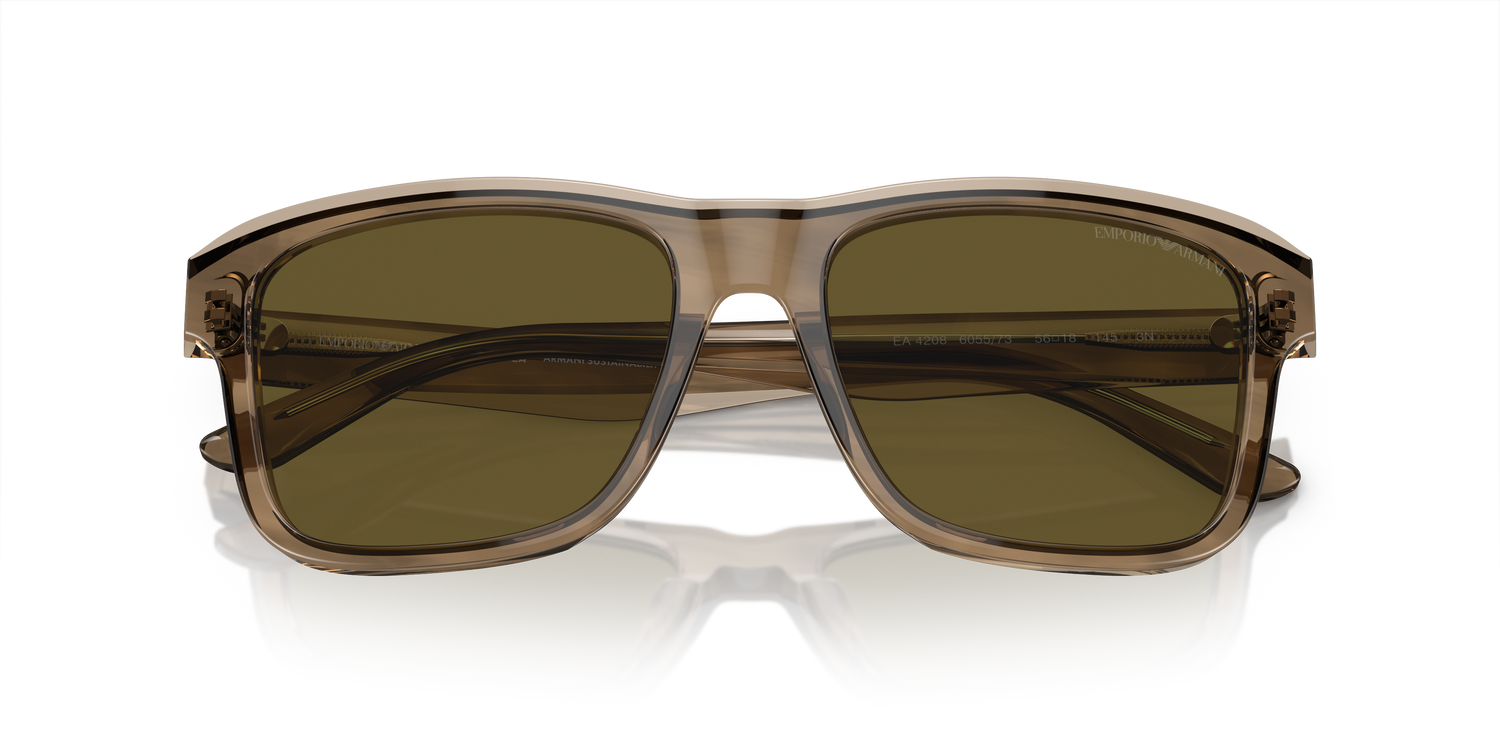 EMPORIO ARMANI EA4208 605573 56