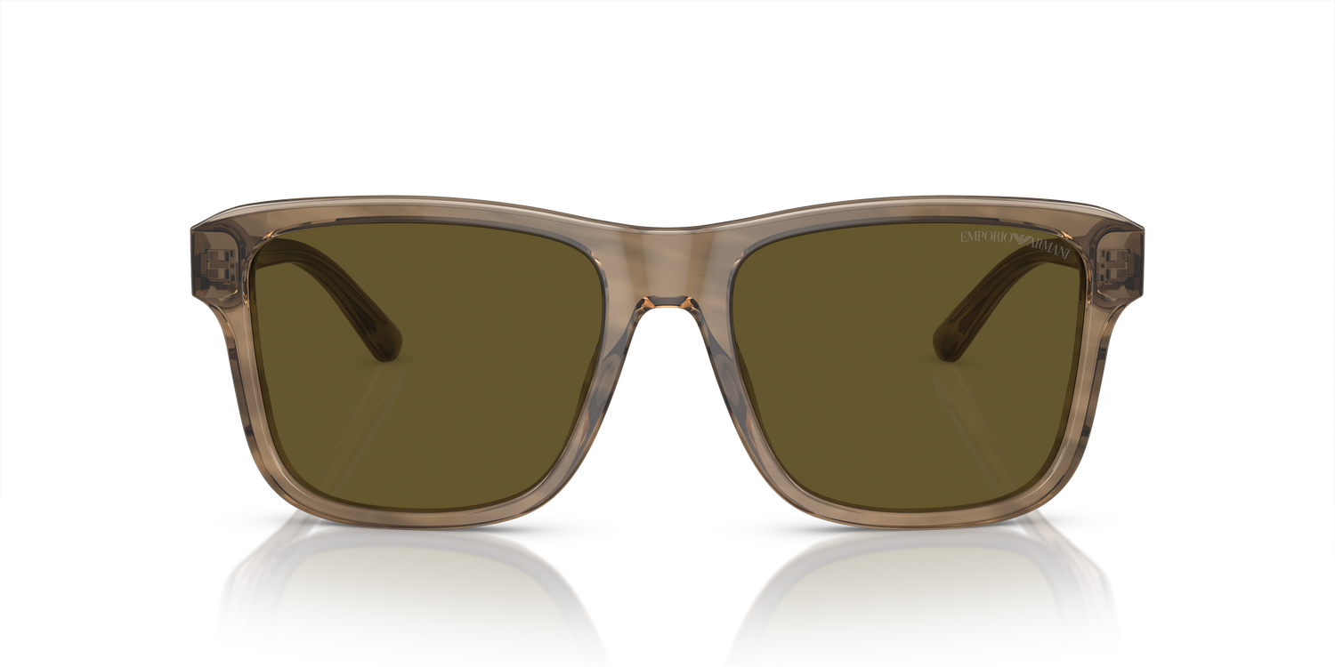 EMPORIO ARMANI EA4208 605573 56
