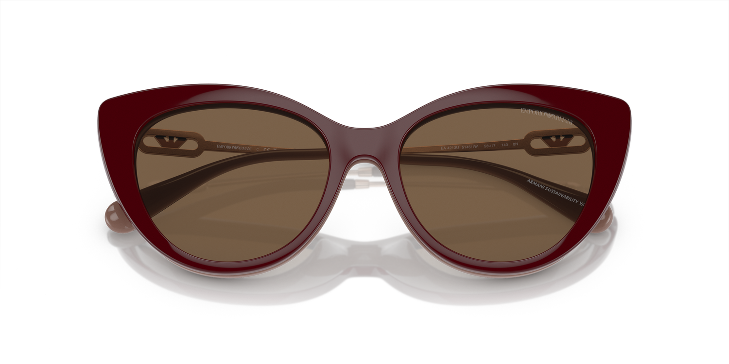 EMPORIO ARMANI EA4213U 51461W 53