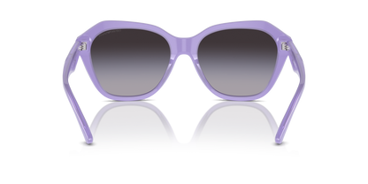 EMPORIO ARMANI EA4221 61178G 56