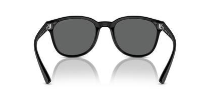 EMPORIO ARMANI EA4225U 500187 53