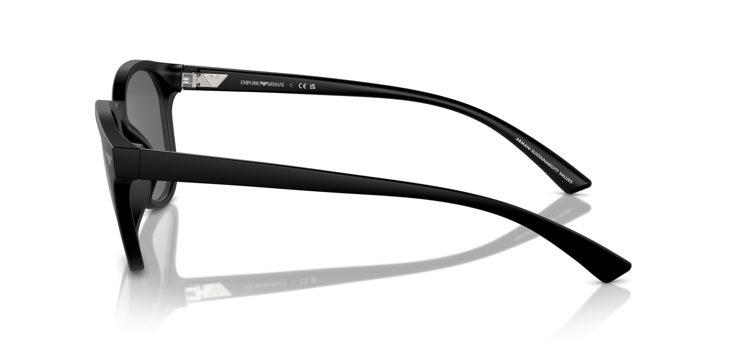 EMPORIO ARMANI EA4225U 500187 53