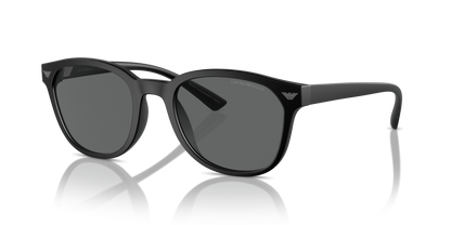 EMPORIO ARMANI EA4225U 500187 53