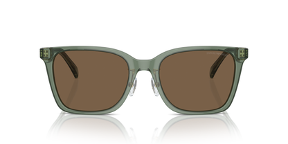 EMPORIO ARMANI EA4226D 536273 55