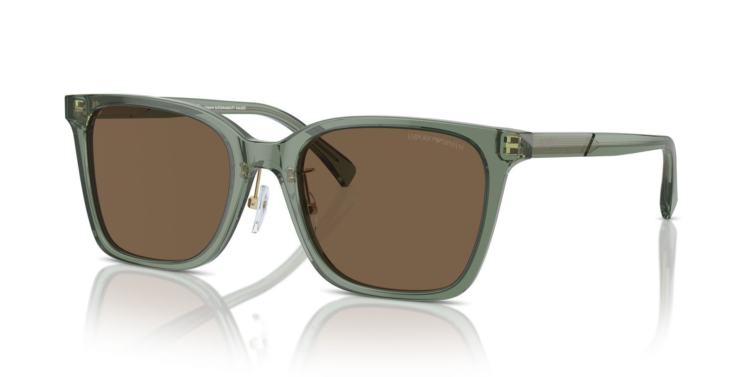 EMPORIO ARMANI EA4226D 536273 55