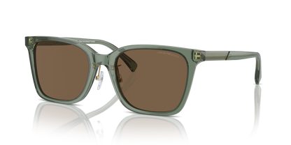 EMPORIO ARMANI EA4226D 536273 55