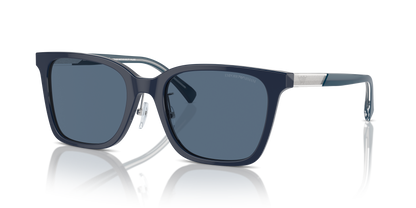 EMPORIO ARMANI EA4226D 603980 55