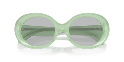 EMPORIO ARMANI EA4231U 615487 53