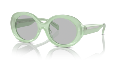 EMPORIO ARMANI EA4231U 615487 53