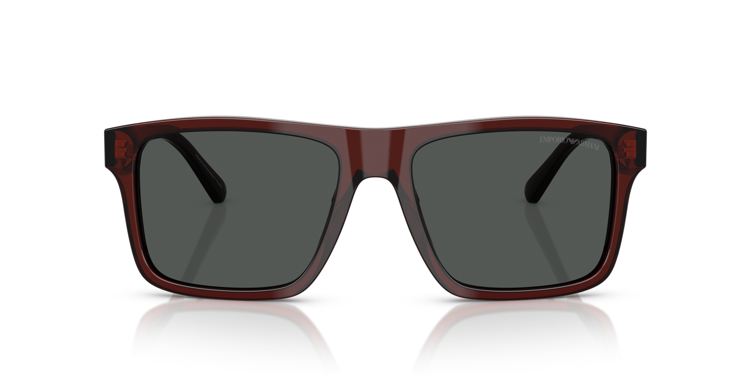 EMPORIO ARMANI EA4232 617487 57