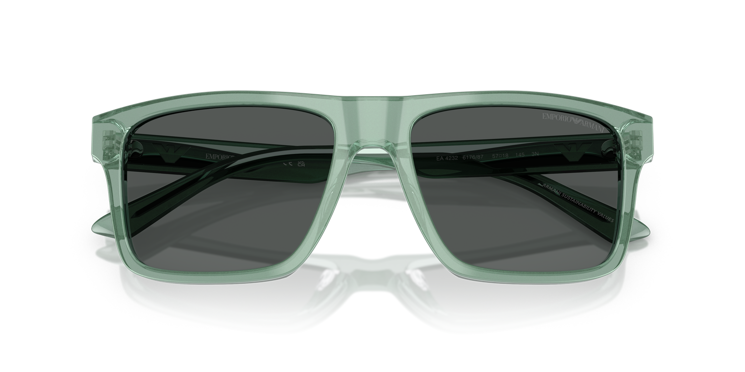 EMPORIO ARMANI EA4232 617687 57
