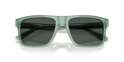 EMPORIO ARMANI EA4232 617687 57