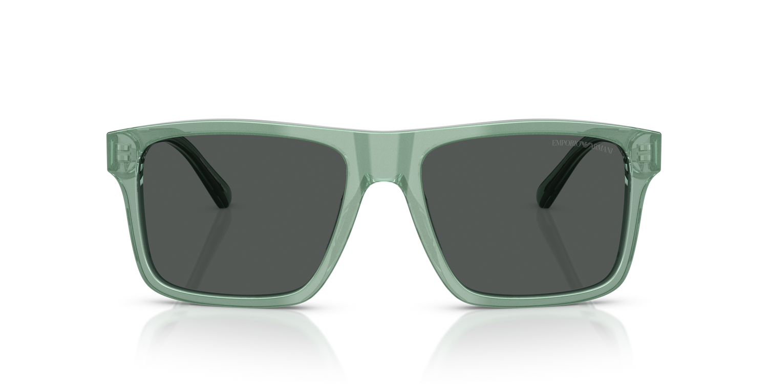 EMPORIO ARMANI EA4232 617687 57