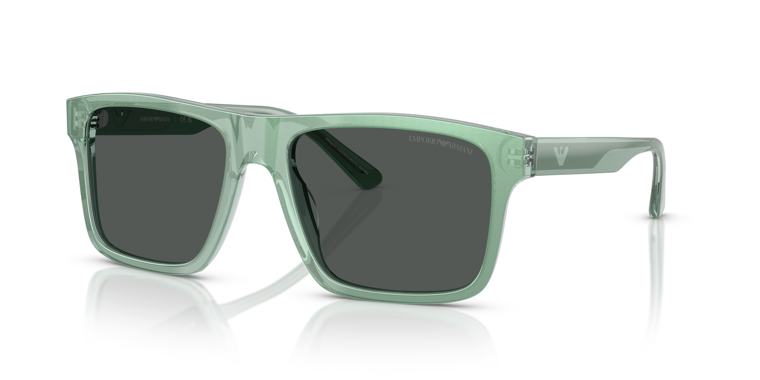 EMPORIO ARMANI EA4232 617687 57