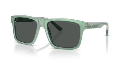 EMPORIO ARMANI EA4232 617687 57