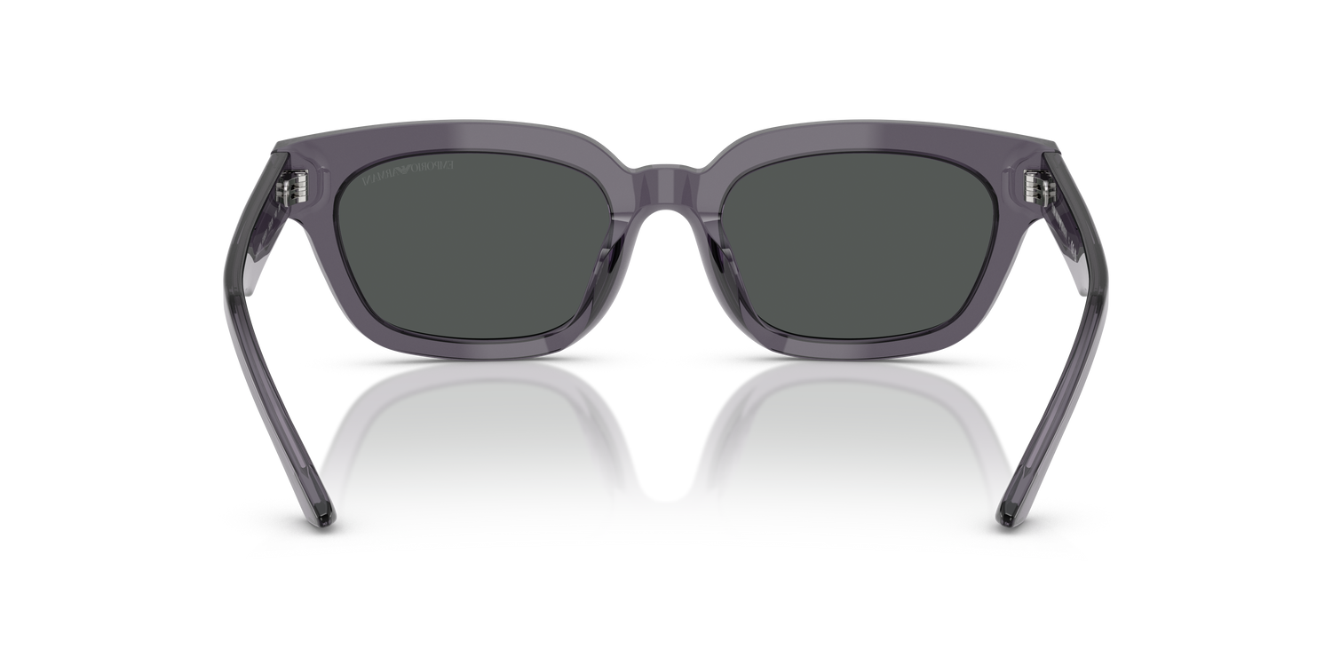 EMPORIO ARMANI EA4233U 610687 53