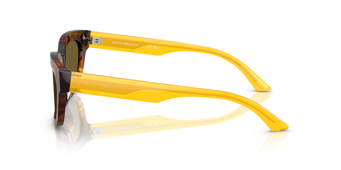 EMPORIO ARMANI EA4233U 618173 53