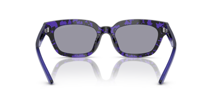 EMPORIO ARMANI EA4233U 618380 53