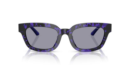 EMPORIO ARMANI EA4233U 618380 53