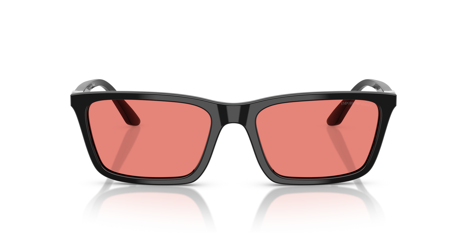 EMPORIO ARMANI EA4239U 501784 55