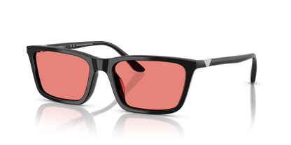EMPORIO ARMANI EA4239U 501784 55
