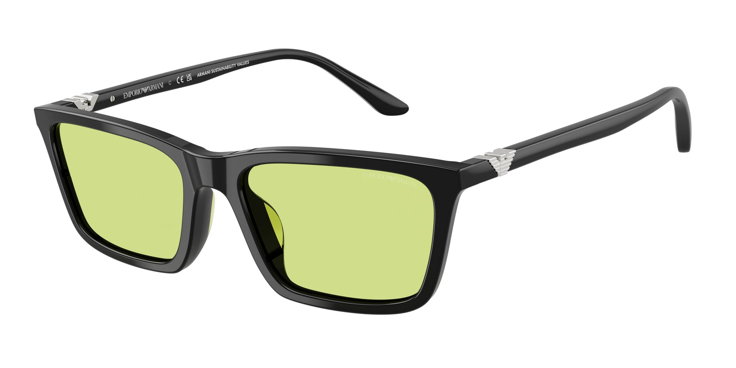 EMPORIO ARMANI EA4239U 5017/2 55