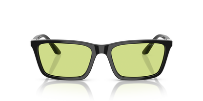 EMPORIO ARMANI EA4239U 5017/2 55