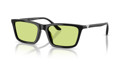 EMPORIO ARMANI EA4239U 5017/2 55