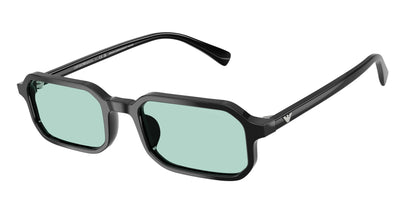 EMPORIO ARMANI EA4253U 501765 54