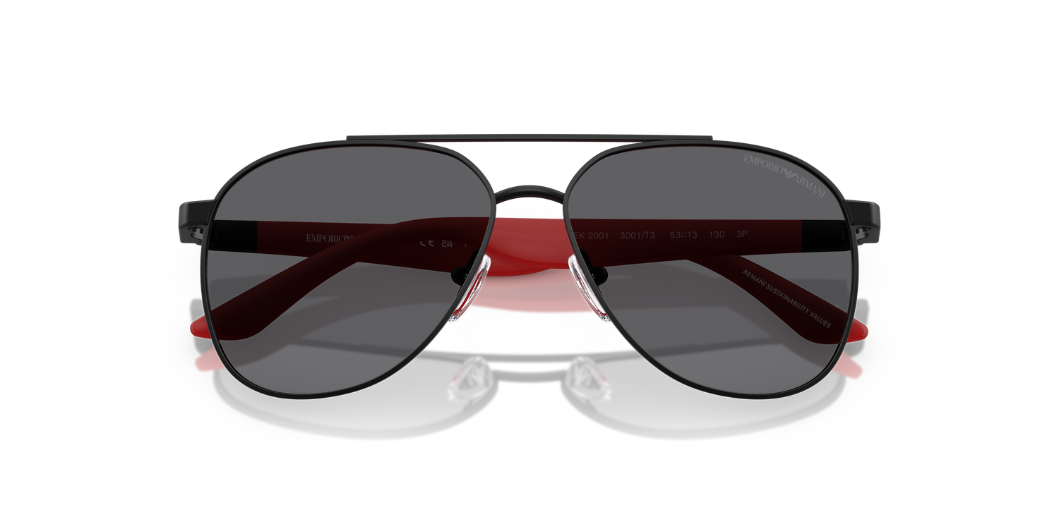 EMPORIO ARMANI EK2001 3001T3 53
