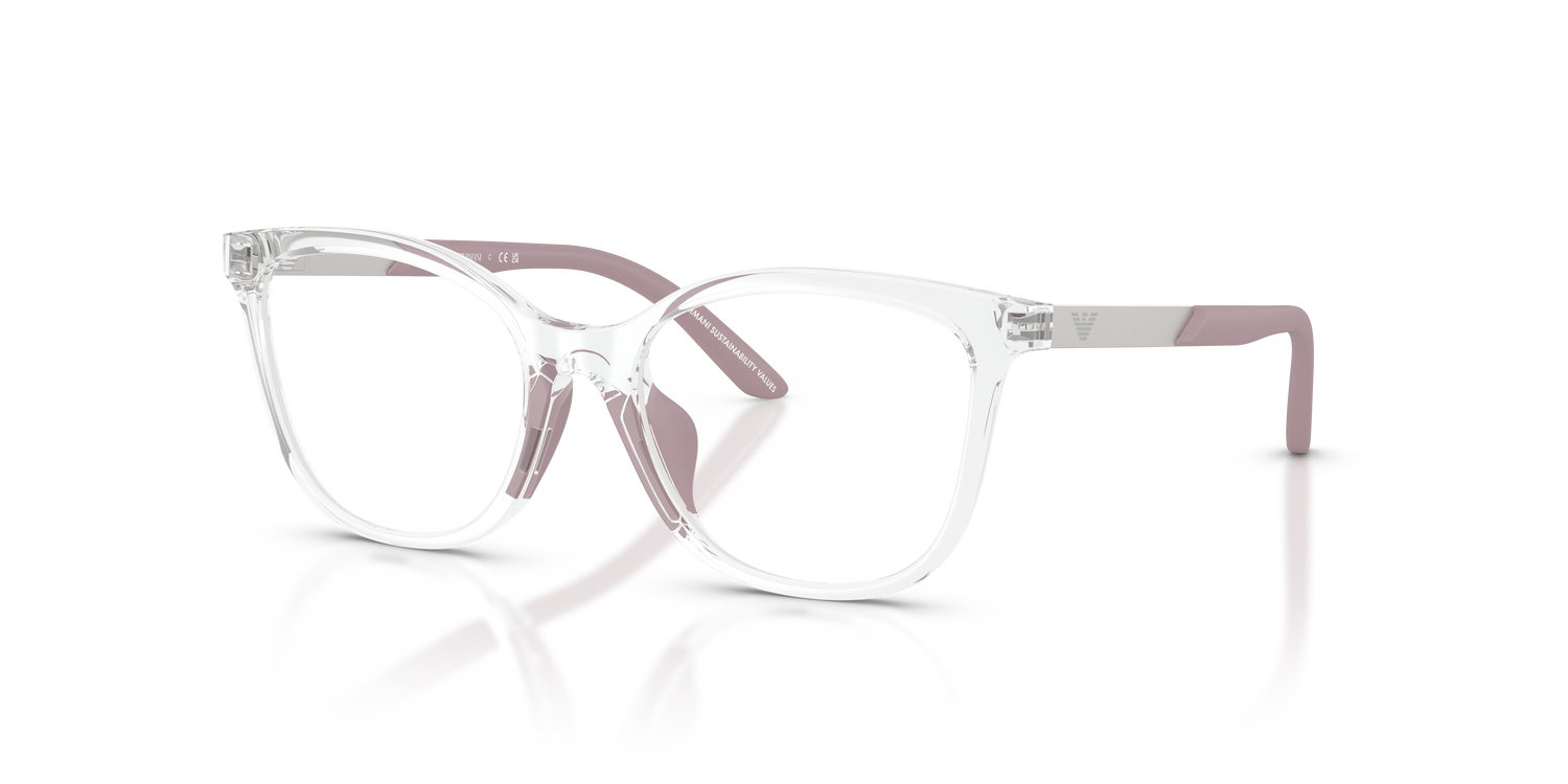 EMPORIO ARMANI EK3011U 5893 48