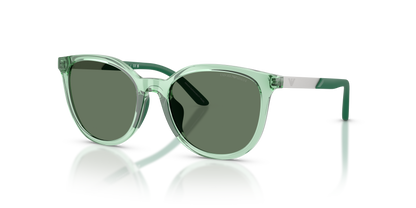 EMPORIO ARMANI EK4007U 628182 49