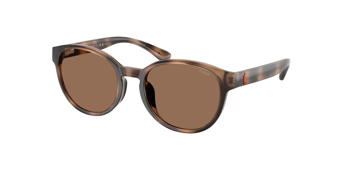 Translation missing: es.seo.product.type.gafas-de-sol polo pp9509u 597473 havana pantos infantil talla 48mm - Translation missing: es.seo.product.alt.imagen-principal