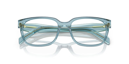 PRADA PR 17ZV 16J1O1 54