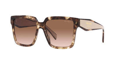 PRADA PR 24ZS 07R0A6 56