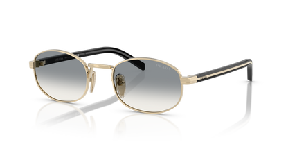 PRADA PR B53S ZVN02C 49