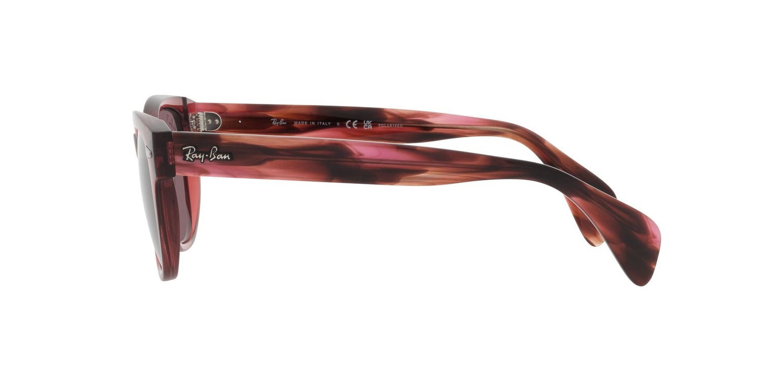 RAY-BAN RB0880S 6639AF 52
