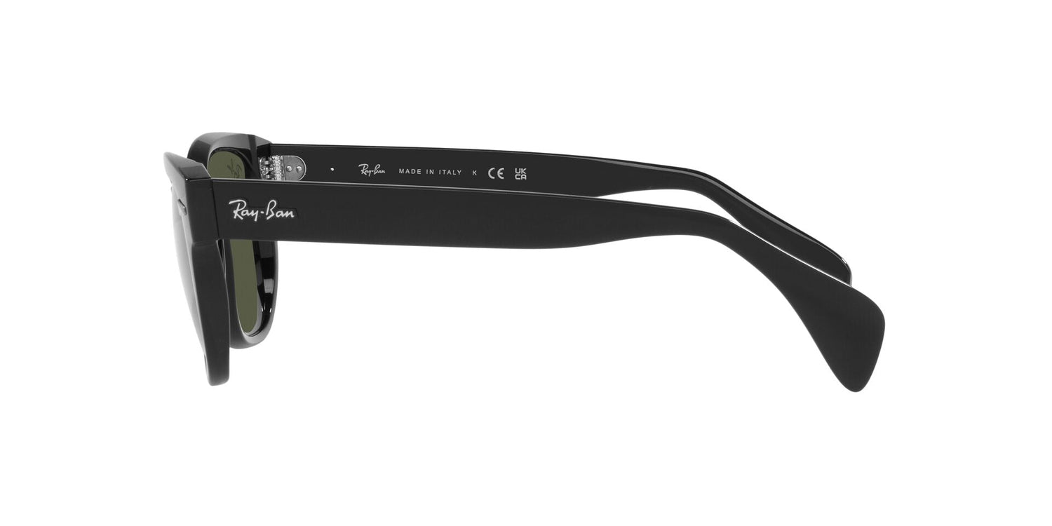 RAY-BAN RB0880S 901/31 52