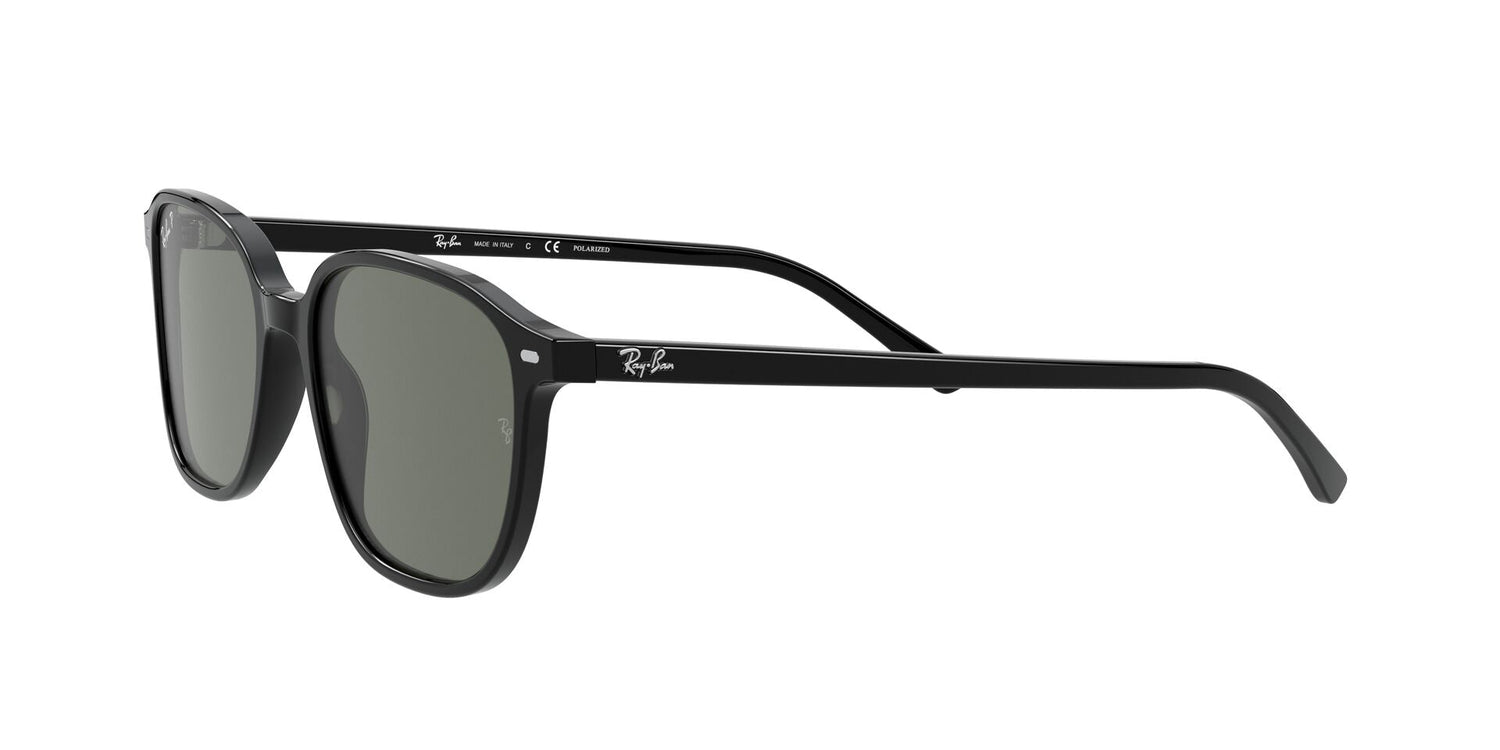 RAY-BAN RB2193 LEONARD 901/58 55