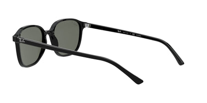 RAY-BAN RB2193 LEONARD 901/58 55