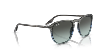 RAY-BAN RB2203 1391GK 52