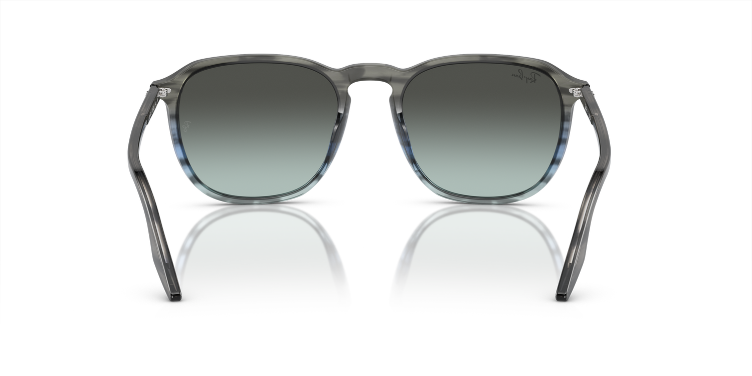 RAY-BAN RB2203 1391GK 52
