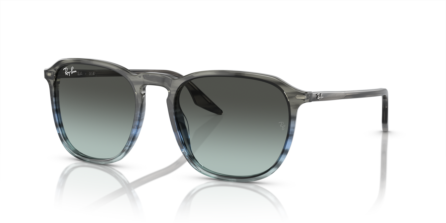 RAY-BAN RB2203 1391GK 52