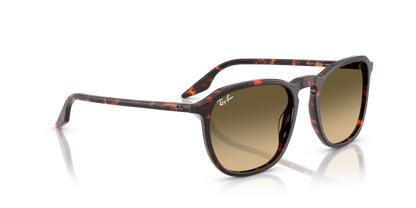 RAY-BAN RB2203 14290A 55