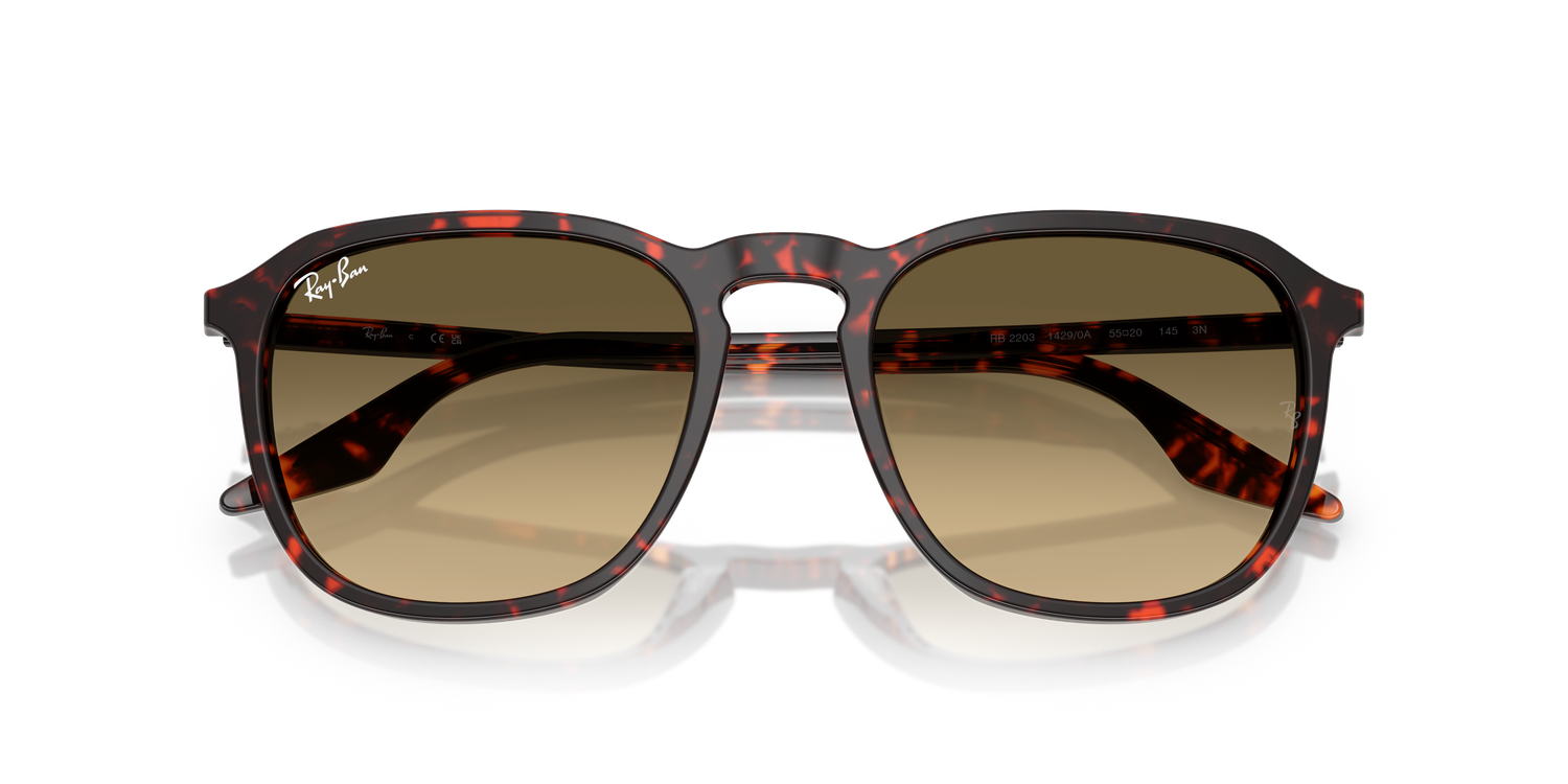 RAY-BAN RB2203 14290A 52
