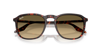 RAY-BAN RB2203 14290A 52