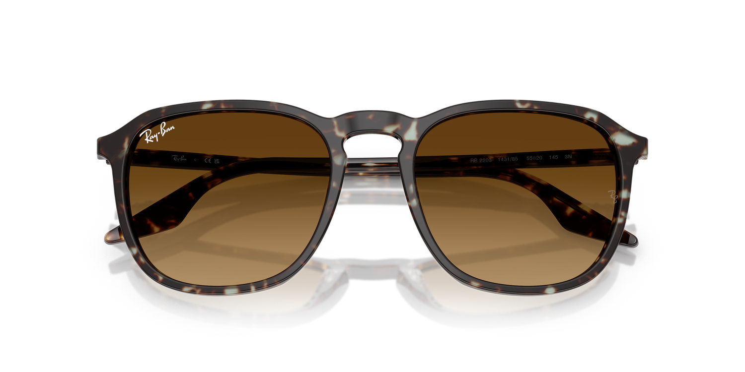 RAY-BAN RB2203 143185 52